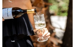 Berger Weinglas 2er Set -Berger Freizeit Deutschland Verkaufs-Shop 594239 4331207